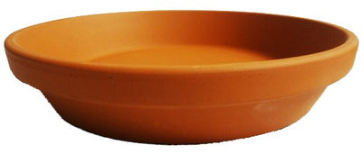 Clay Plate-  Medium  8.5" x 2"