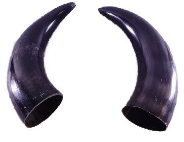 Bull horns - Tarros de buey (pareja) - Ogue 6"-8" L