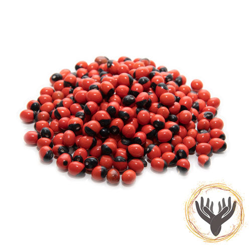 peony plant seeds ▷▷ Peony seeds