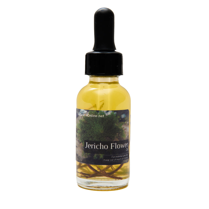 Jericho flower oil