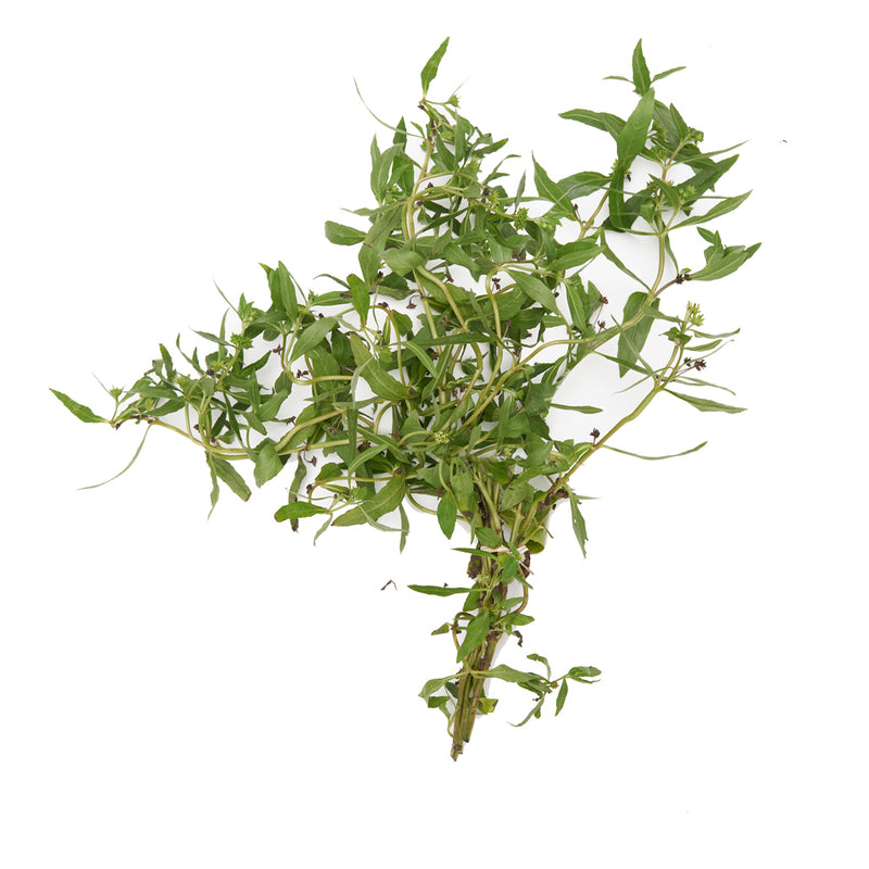 Drive Away Evil - Espanta Muerto Herb - Abericunlo