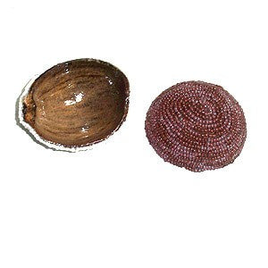 Oya Beaded Gourd Cocont Shell