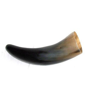 Bull horn 6"-8" long