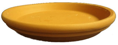 Clay Plate-  Medium  8" x 1.25"