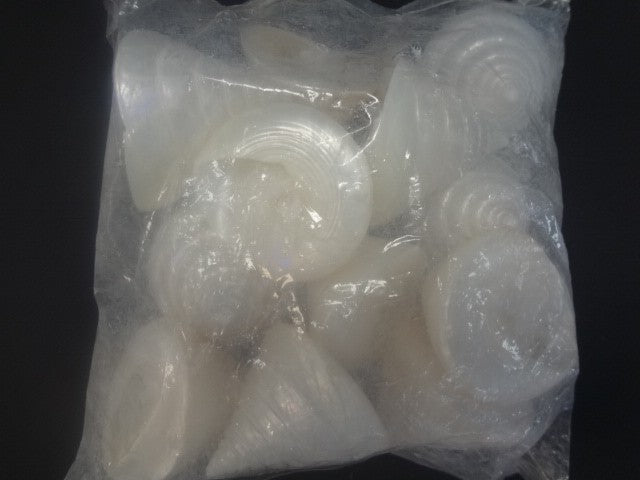 Large Mother of Pearl Seashell package 1 pound