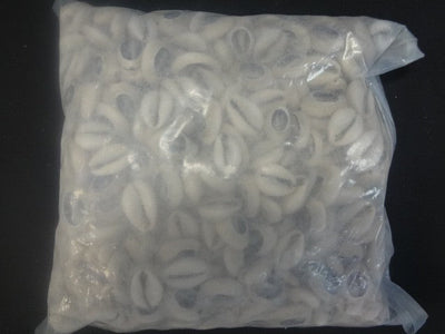 Opened Cowry Shells -package 2 pounds