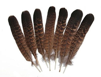 Eagle Feather Original 1 piece.