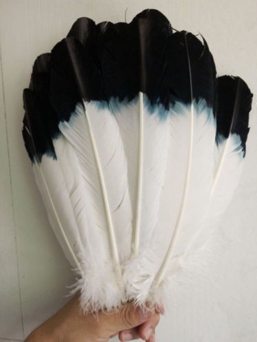 Eagle Feather Original 1 piece.