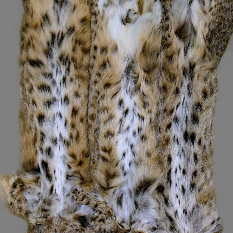 Alaskan Lynx  Skin (Complete) Large