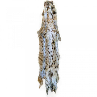 Alaskan Lynx  Skin (Complete) Large