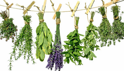 5 SWEET HERBS FOR BATHS OF LUCK AND LOVE
