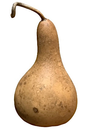 Bottle Gourd / Calabash 2 Sizes