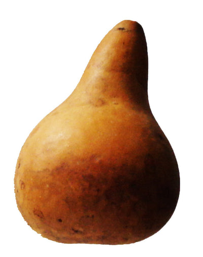 Bottle Gourd / Calabash 2 Sizes